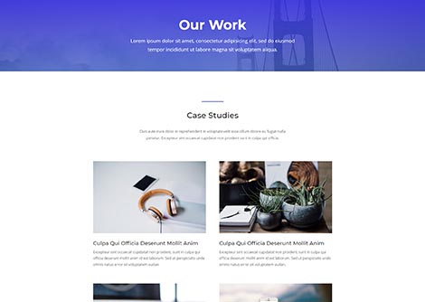 Agency Portfolio