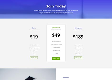 Agency Pricing