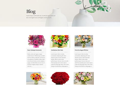Florist Blog