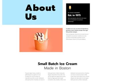 Ice Cream Shop About