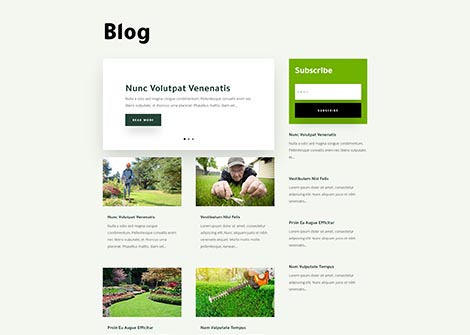 Landscape Maintenance Blog