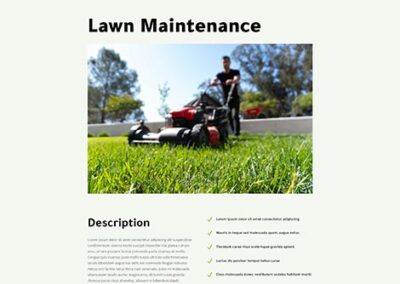 Landscape Maintenance Lawn