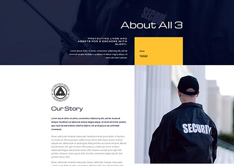 Security Services About