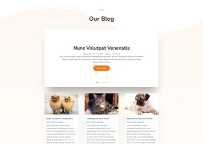 Veterinarian Blog