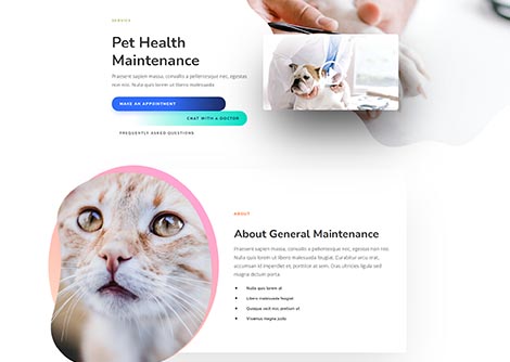 Veterinarian Services 2